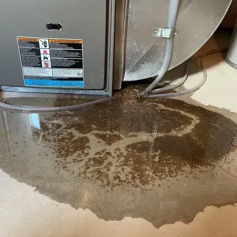 Appliance Leak Cleanup in Belleville, IL